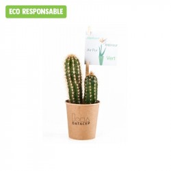 Cactus personnalisé