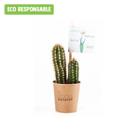 Cactus publicitaire