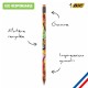 Crayon papier BIC® gomme impression photo