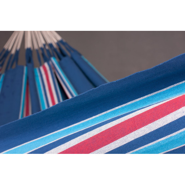 Currambera - blueberry