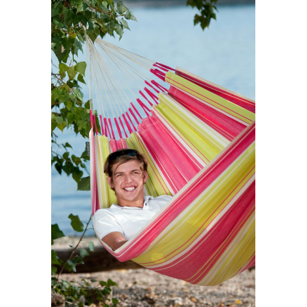 Botanica - raspberry