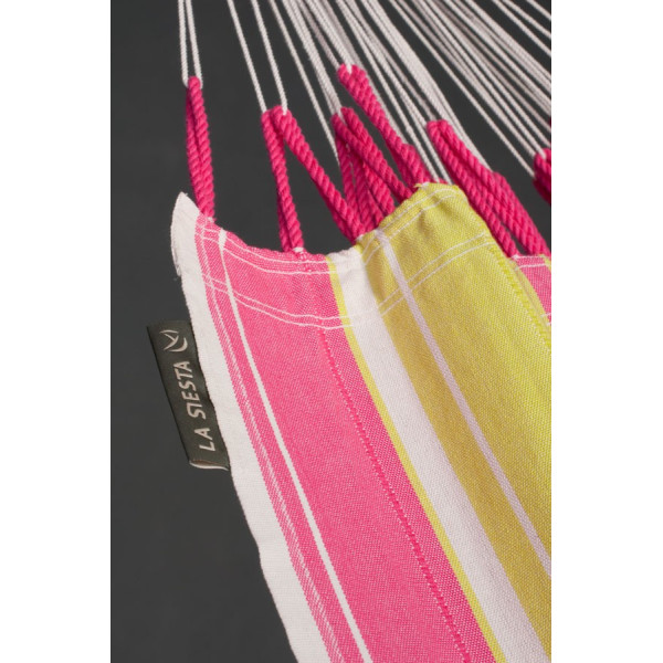 Botanica - raspberry