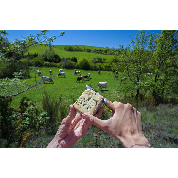 Couteau de pays personnalisé "tradition" en olivier