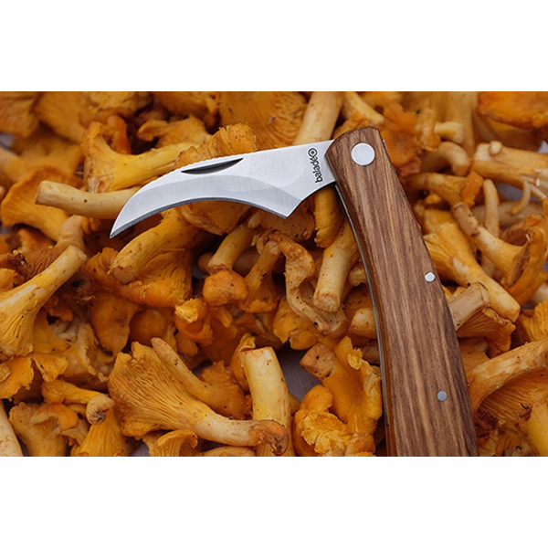 Couteau à champignon personnalisé avec brosse en poil de sanglier