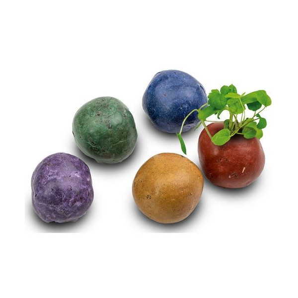 Sachet de graine transparent personnalisé