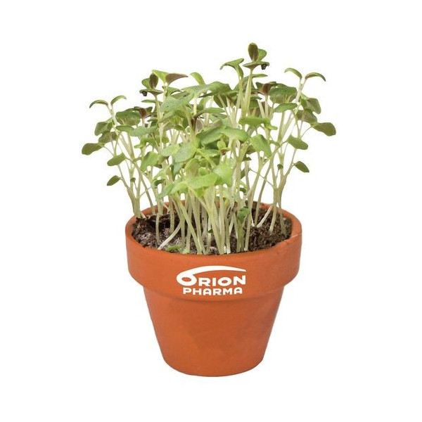 Petit pot terre cuite avec graines - 45mm - Fourreau personnalisé