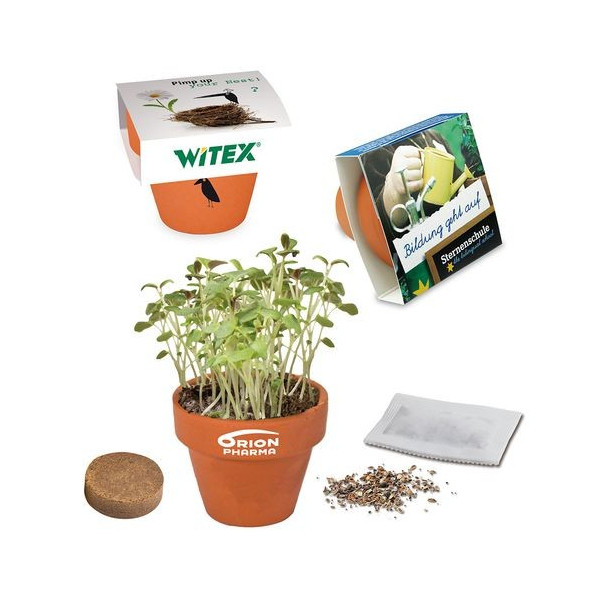 Petit pot terre cuite avec graines - 45mm - Fourreau personnalisé