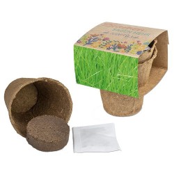 Petite boîte kraft tube personnalisée avec kit de plantation.