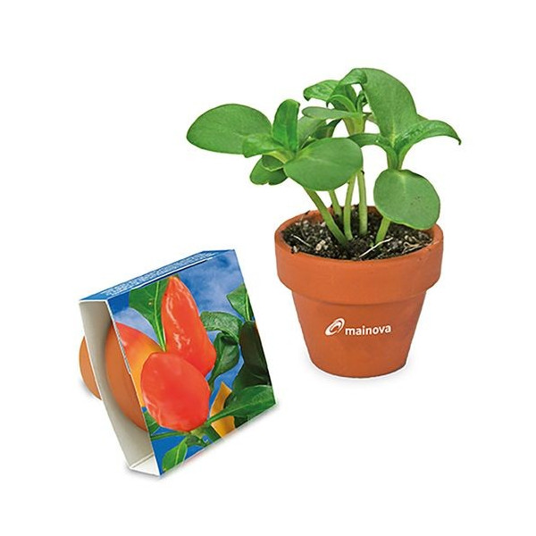 Pot terre cuite personnalisé avec graines - 71mm