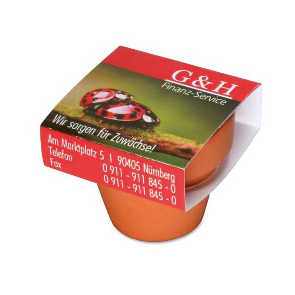 Pot terre cuite personnalisé avec graines - 71mm