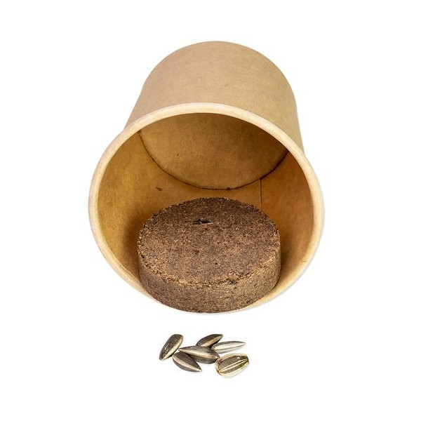 Kit de plantation en gobelet personnalisé