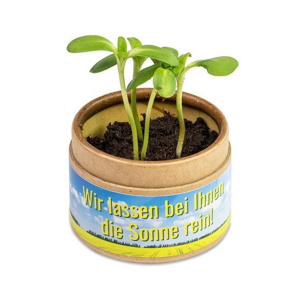 Petit boîte personnalisée avec kit de culture