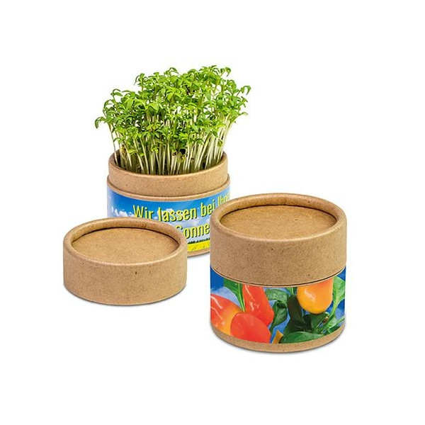 Petit boîte personnalisée avec kit de culture