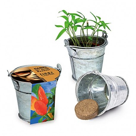 Kit De Plantation Publicitaire Pots Terre Cuite Avec Graines à Semer, Kit  personnalisé