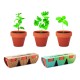 Kit de plantation promotionnel avec 3 mini pots en terre cuite