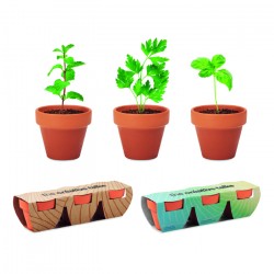 Kit de plantation promotionnel avec 3 mini pots en terre cuite