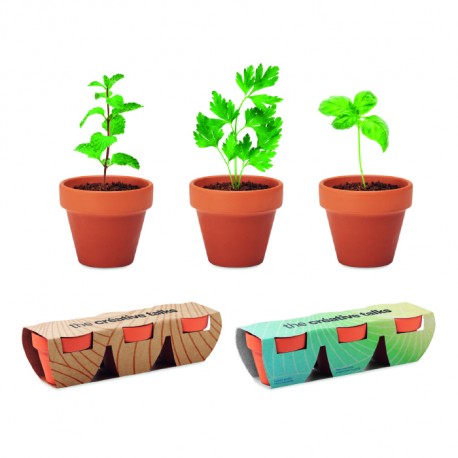 Kit de plantation promotionnel avec 3 mini pots en terre cuite