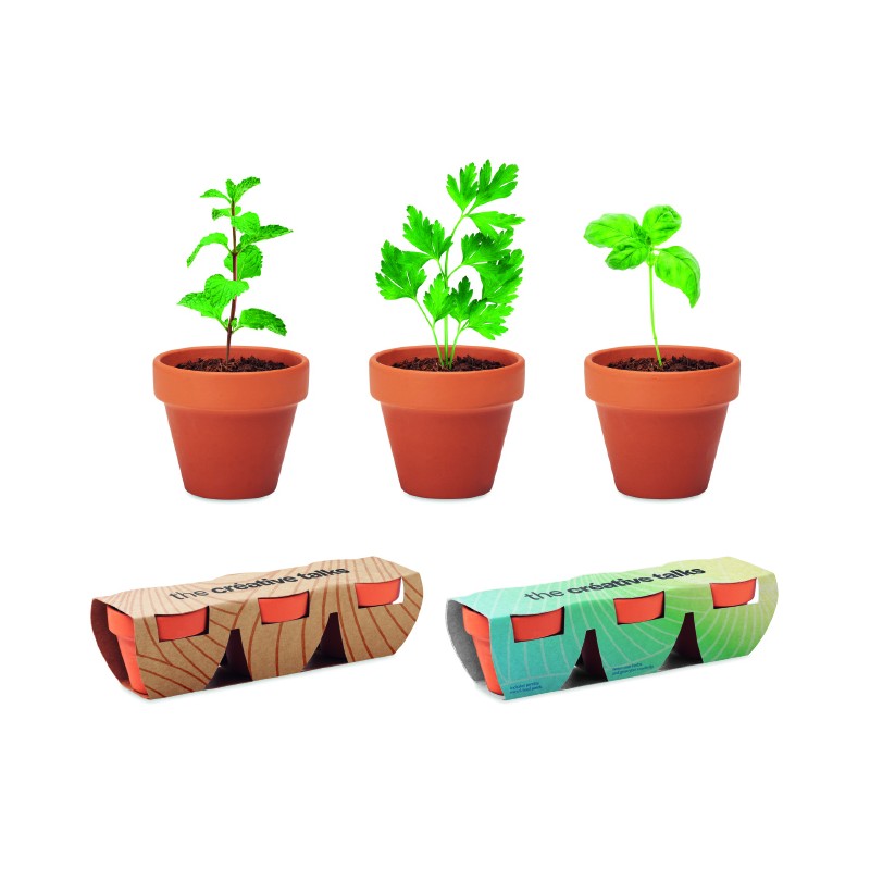 Kits de plantation plante personnalisé