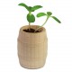 Kit de plantation tonneau en bois personnalisable "TONUS"