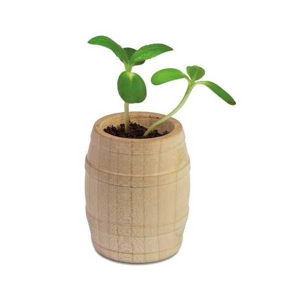 Kit de plantation tonneau en bois personnalisable "TONUS"