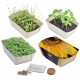Barquette en papier bambou avec kit de plantation "YUCO"