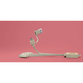 Cable USB 4 en 1 personnalisable en fibre de blé et bambou