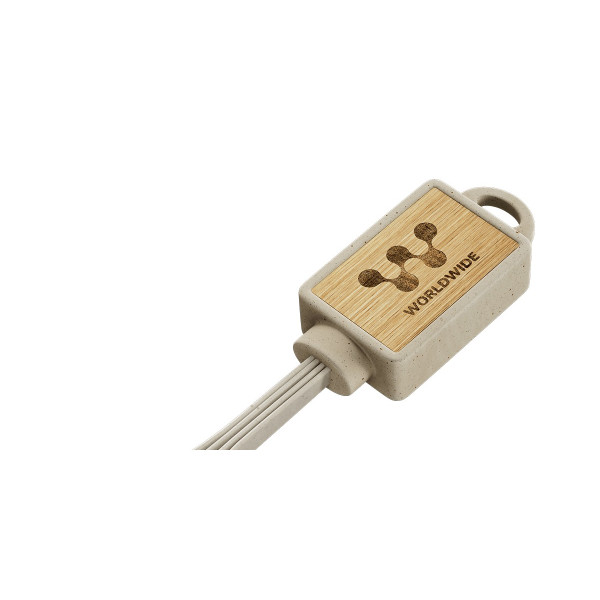 Cable USB 4 en 1 personnalisable en fibre de blé et bambou