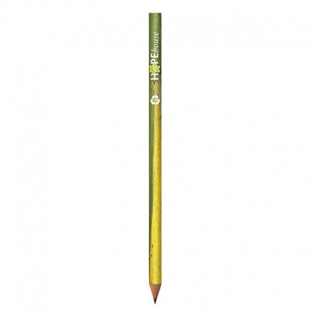 BIC Evolution Digital Cut Ecolutions crayon 