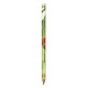 BIC Evolution Digital Cut Ecolutions crayon 