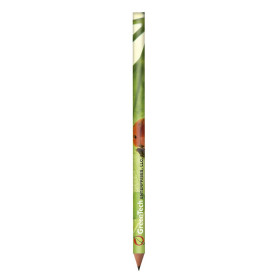 BIC Evolution Digital Cut Ecolutions crayon 