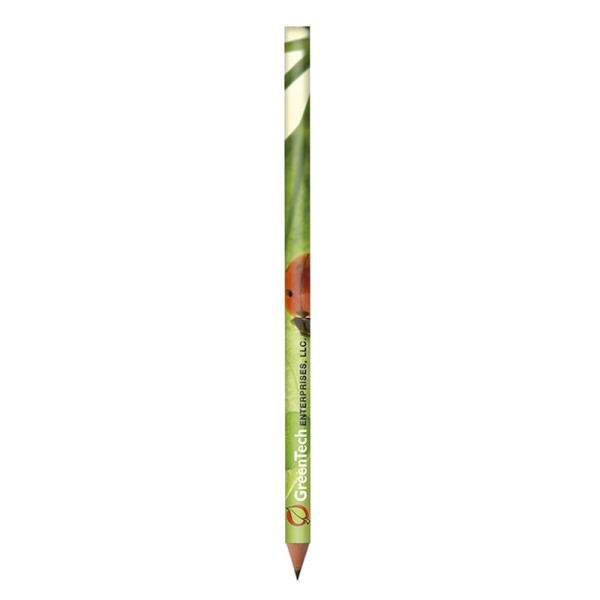 BIC Evolution Digital Cut Ecolutions crayon 
