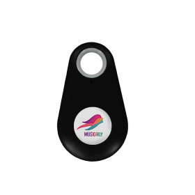 Alarme / localisateur d'objet perdu