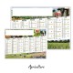 Calendrier publicitaire 570x410 mm